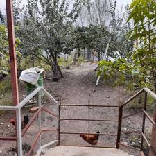 ویلا بابنای200 متری با زمین500متری در شاغولا