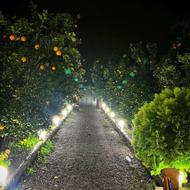 فروش ویلا 330 متر در جونه کلا