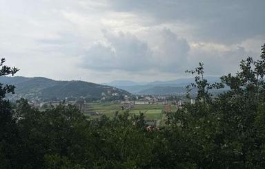 فروش زمین مسکونی ویو ابدی ،مجوز در بابلکنار 194 متر