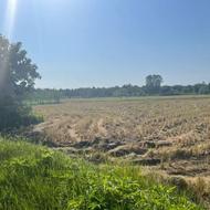 زمین زراعی 2 هکتاری با خاک مرغوب در منطقه آزاد