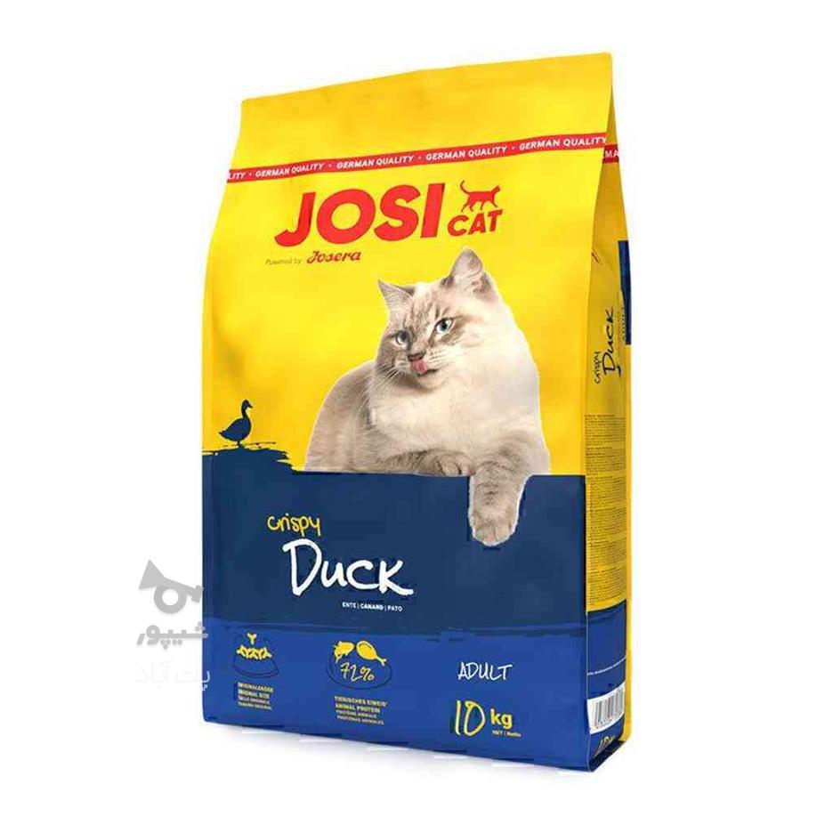 غذای خشک گربه جوسرا با طعم اردک و ماهی Josicat Duck and Fish در گروه خرید و فروش ورزش فرهنگ فراغت در گیلان در شیپور-عکس1