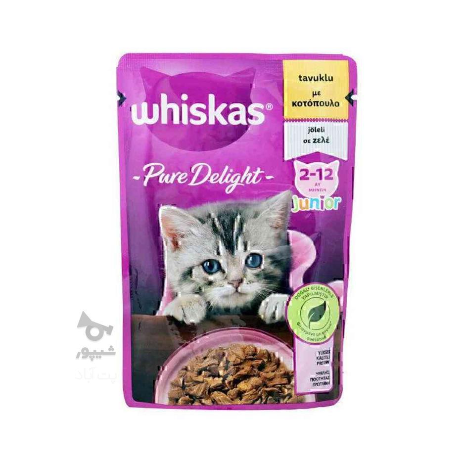 پوچ بچه گربه ویسکاس با طعم گوشت مرغ در ژله Whiskas Junior Wi در گروه خرید و فروش ورزش فرهنگ فراغت در گلستان در شیپور-عکس1