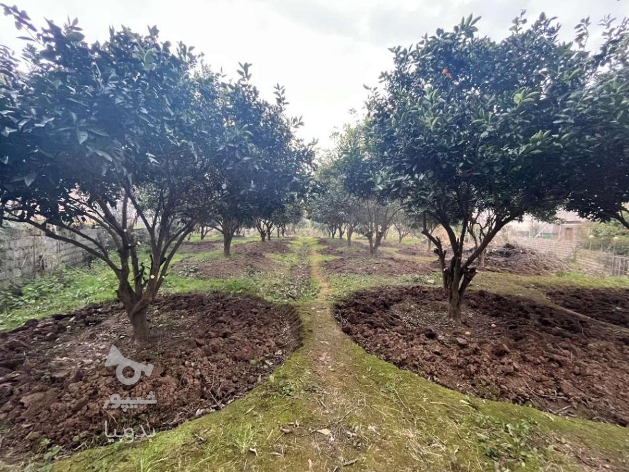 فروش زمین مسکونی 1326 متر در لشگرک در گروه خرید و فروش املاک در مازندران در شیپور-عکس1