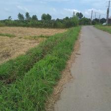 فروش زمین کشاورزی 2000 متر در گیلاکجان