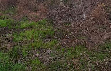 فروش زمین مسکونی 580 متر در نعمت آباد