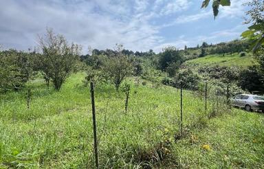 فروش 2000 متر در بابلکنار مناسب ساخت کلبه