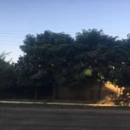 208 متر زمین کاربری مسکونی با قابلیت معاوضه