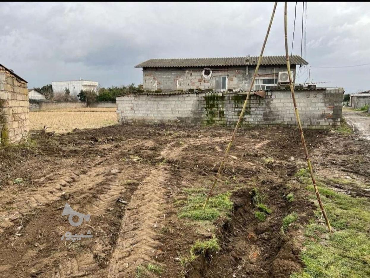 زمین مسکونی ویلایی در روستای عالی زمین در گروه خرید و فروش املاک در مازندران در شیپور-عکس1