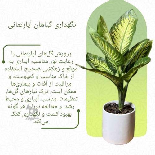 طراحی گرافیک