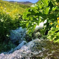 زمین 200متری ییلاقی خوش آب هوا منطقه برند تهرانی نشین