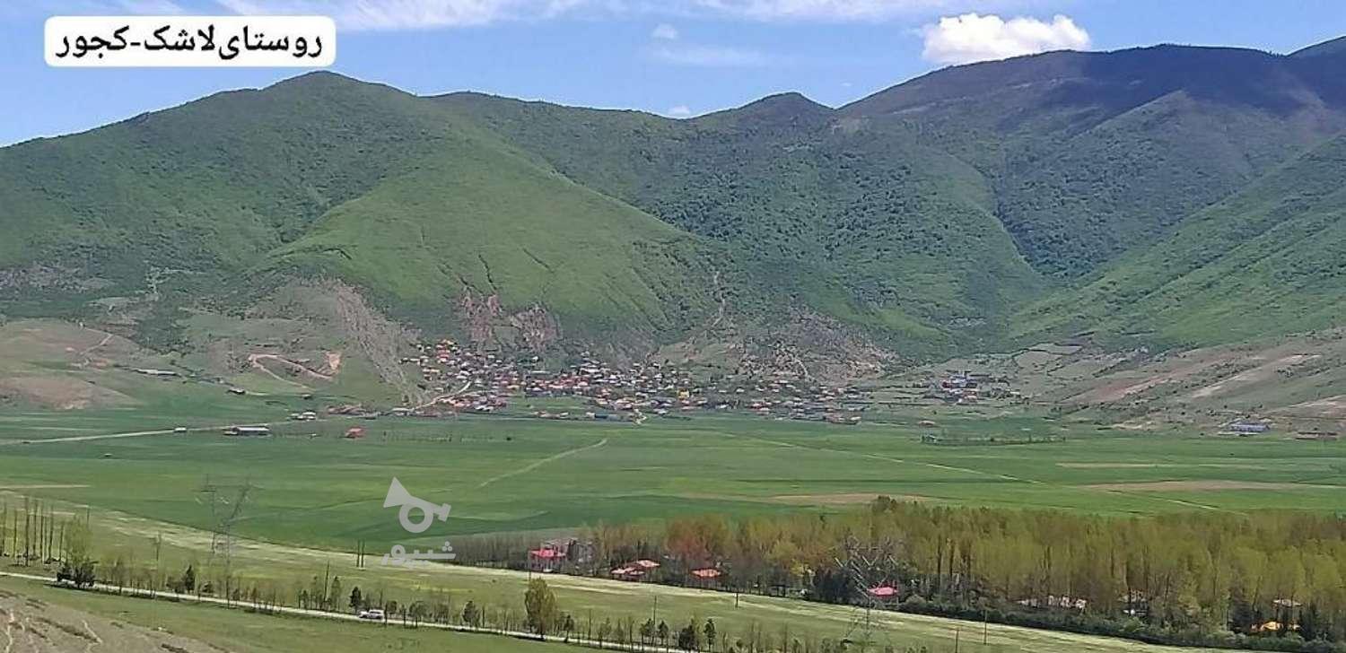 فروش زمین مسکونی دارای باغ میوه در روستای لاشک در گروه خرید و فروش املاک در مازندران در شیپور-عکس1