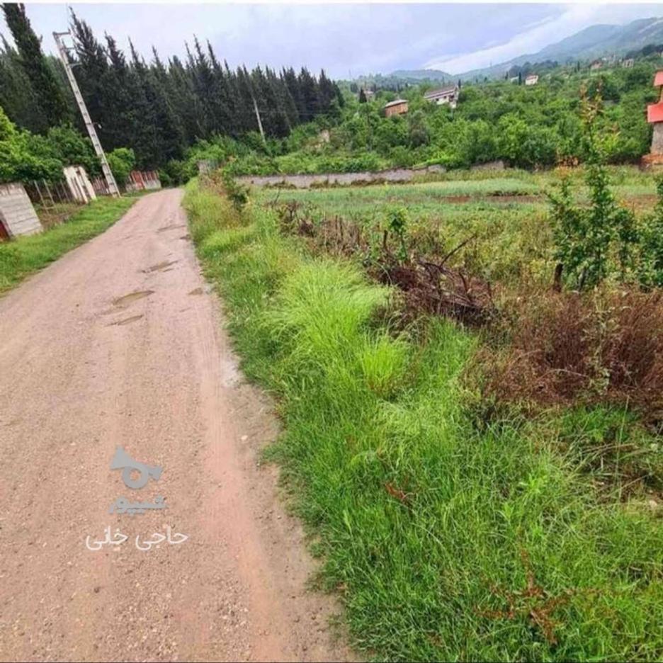 فروش زمین مسکونی 240 متر در تنگ لته در گروه خرید و فروش املاک در مازندران در شیپور-عکس1