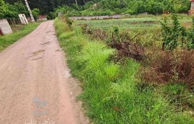 فروش زمین مسکونی 200 متر در تنگ لته روستای وارد محله