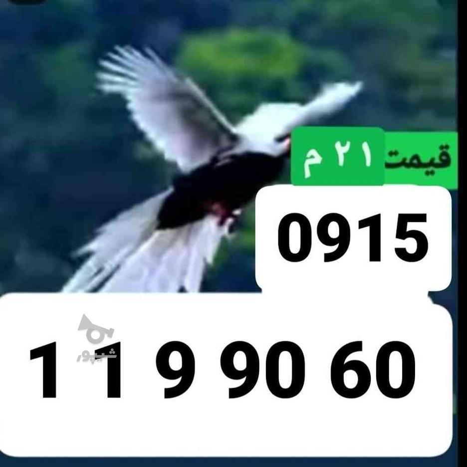 0915-119-90-60 در گروه خرید و فروش موبایل، تبلت و لوازم در خراسان رضوی در شیپور-عکس1