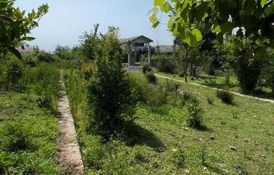 زمین مسکونی 240 متر درلیالمان لاهیجان