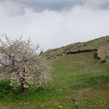 فروش زمین مسکونی 200 متر در خیابان هراز