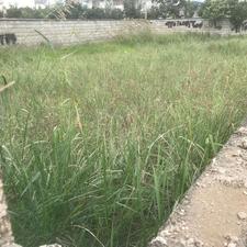 فروش زمین مسکونی 251 متر در خیابان پاسداران