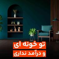 نماینده فروش و مشاور محصولات نیوشا