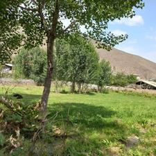 زمین 500 متری ییلاقی مناسب سرمایه گذاری کوتاه مدت