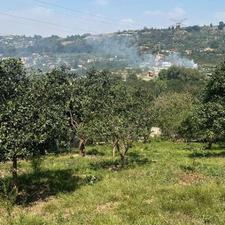 باغ بسیار زیبا با چشم انداز 500 متر پایین کولا سانخیل