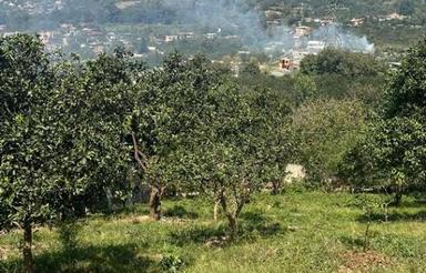 باغ بسیار زیبا با چشم انداز 500 متر پایین کولا سانخیل