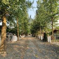 فروش زمین مسکونی 250 متر در عباسا