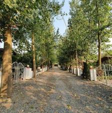 فروش زمین مسکونی 250 متر در عباسا