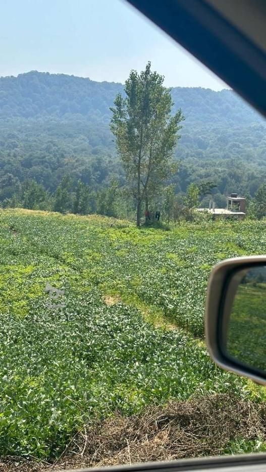 فروش زمین 200 متری سانخیل در گروه خرید و فروش املاک در مازندران در شیپور-عکس1