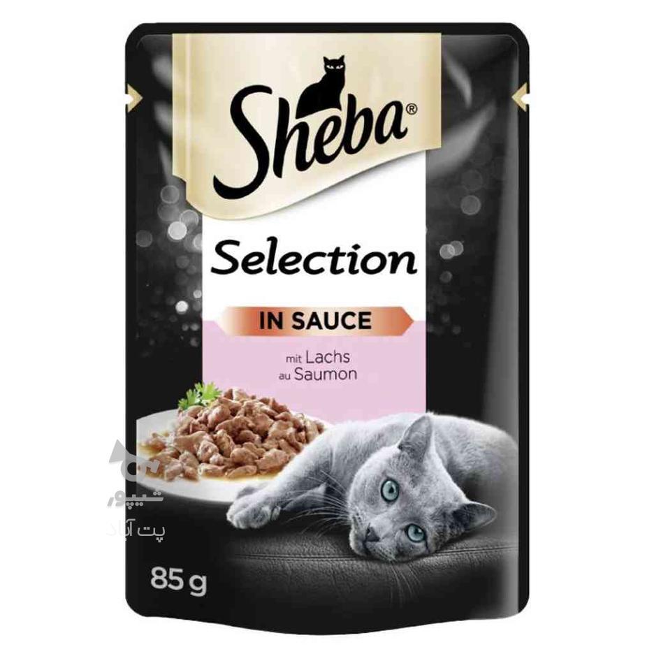 پوچ گربه با طعم سالمون در سس شیبا Sheba Salmon In Sauce وزن در گروه خرید و فروش ورزش فرهنگ فراغت در مازندران در شیپور-عکس1