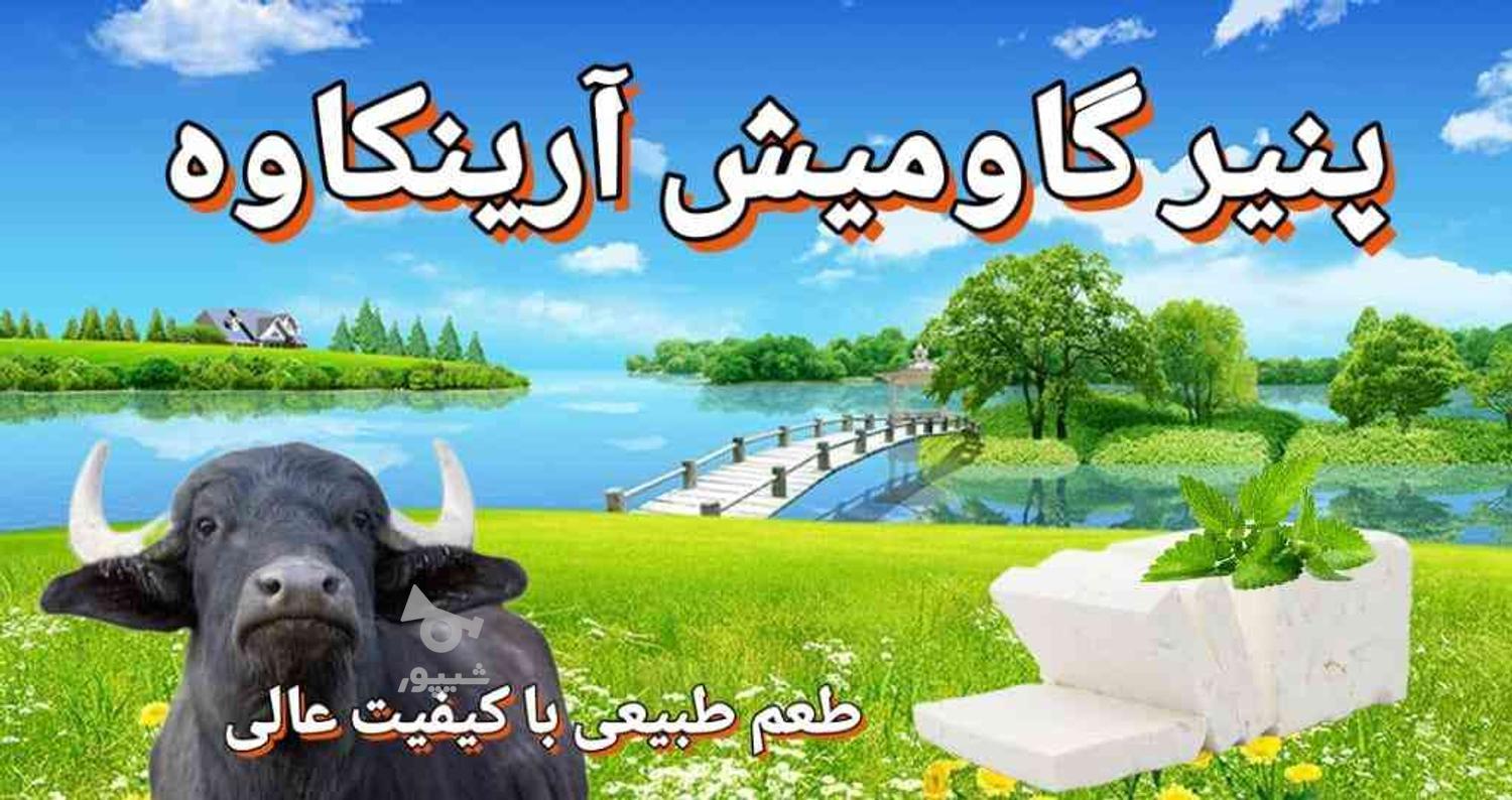 لبنیات محلی آرینکاوه