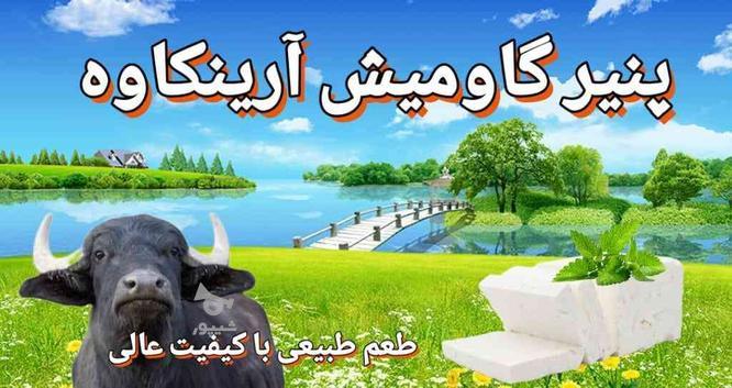 لبنیات محلی آرینکاوه