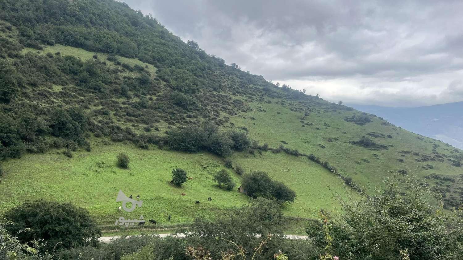 زمین فروشی 1100متر روستای سنگسرک در گروه خرید و فروش املاک در مازندران در شیپور-عکس1