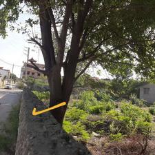 زمین مسکونی 1,100 متری