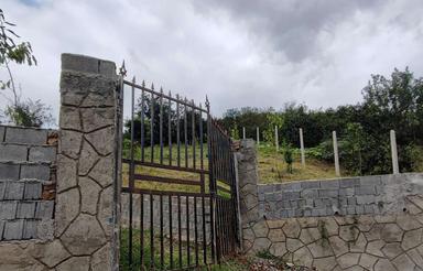 2100 متر باغ نارنگی محلی ریکنده