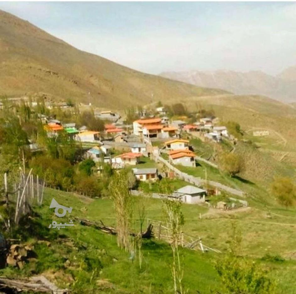 زمین ییلاقی در جاده هراز ( طینه) منطقه توریستی در گروه خرید و فروش املاک در مازندران در شیپور-عکس1