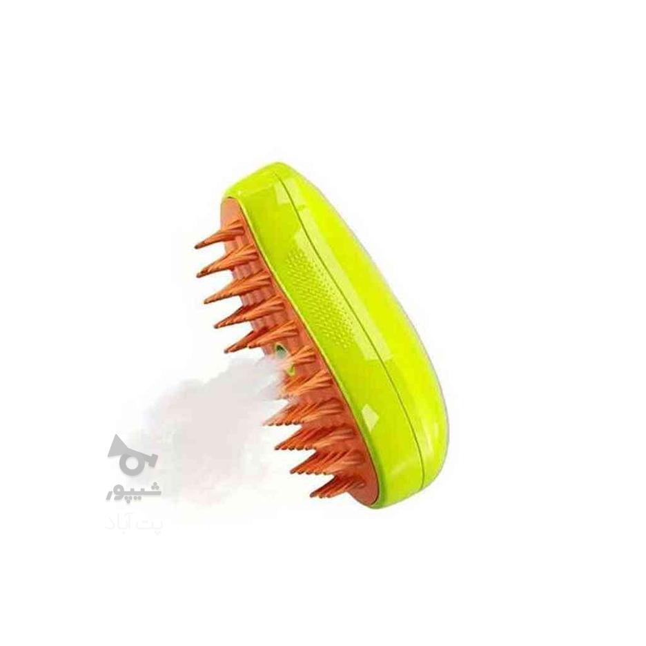 برس و ماساژور بخار حیوانات Spray Massage Brush در گروه خرید و فروش ورزش فرهنگ فراغت در تهران در شیپور-عکس1