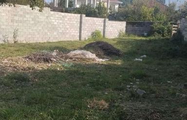 زمین مسکونی 721 متری در ویرمونی
