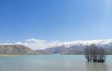 زمین مسکونی 5,000 متری در آبسرد