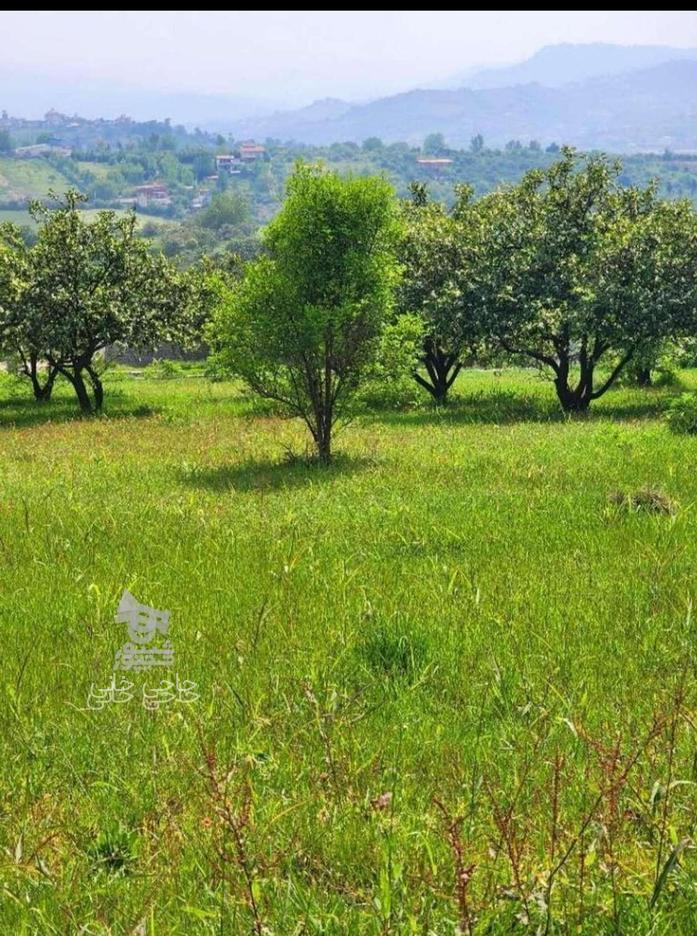 فروش زمین مسکونی 100 متر سانخیل در گروه خرید و فروش املاک در مازندران در شیپور-عکس1