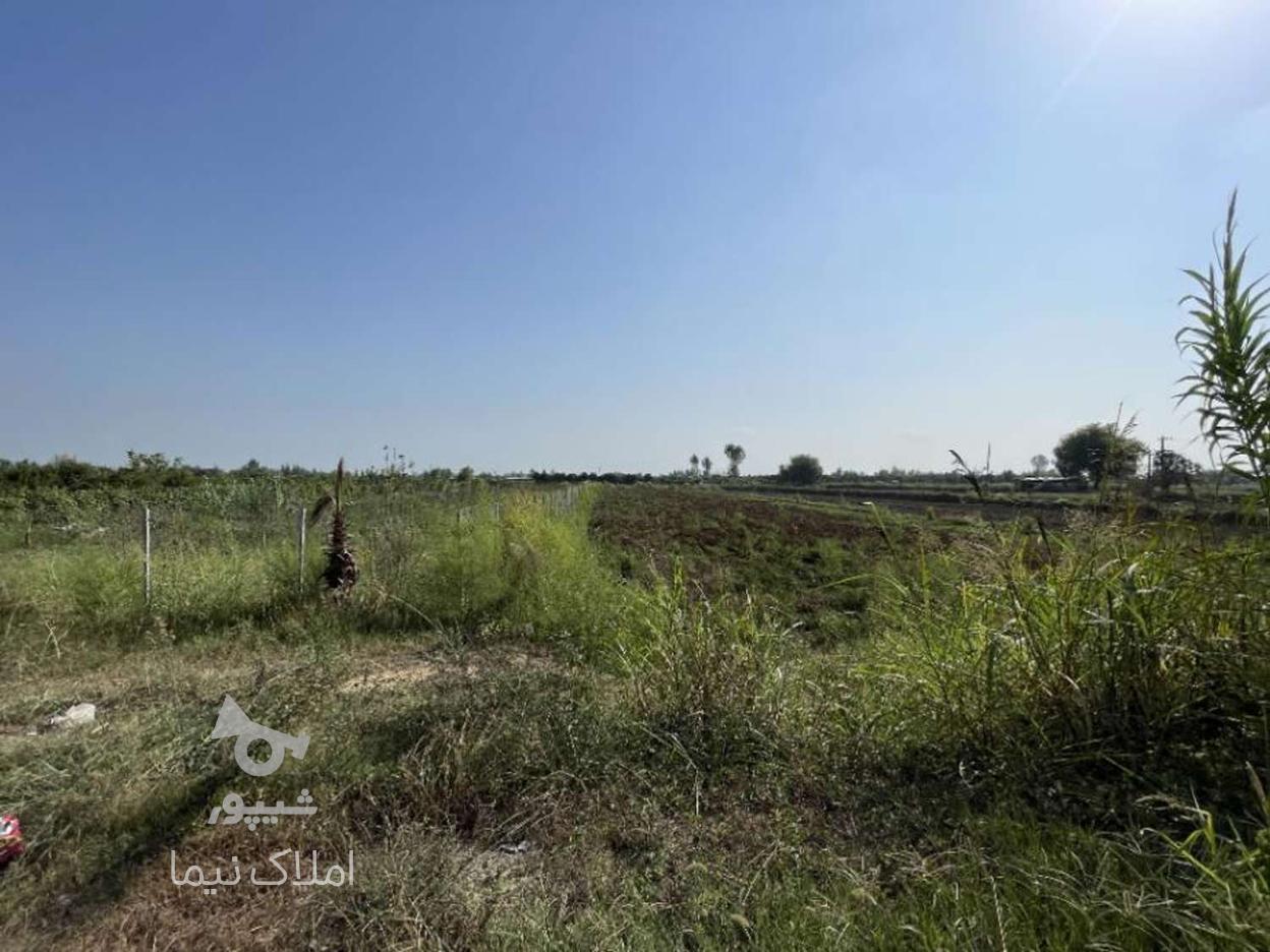 فروش زمین شهرکی 3500 متر بر جاده اصلی آهن کتی در گروه خرید و فروش املاک در مازندران در شیپور-عکس1