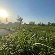 زمین مسکونی 407 متری نمک آبرود