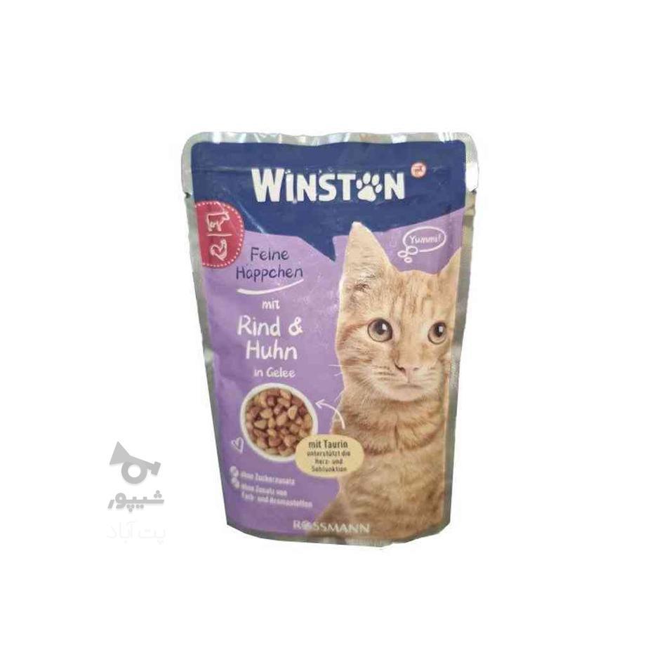 پوچ گربه وینستون با طعم گوشت گاو و مرغ در ژله Winston Beef در گروه خرید و فروش ورزش فرهنگ فراغت در مازندران در شیپور-عکس1