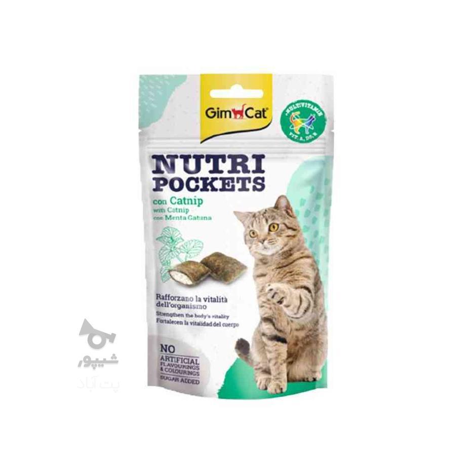 اسنک تشویقی گربه جیم کت با طعم کت نیپ GimCat Nutri Pockets C در گروه خرید و فروش ورزش فرهنگ فراغت در تهران در شیپور-عکس1