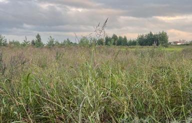 فروش زمین کشاورزی 200 متر در کرچک لاریجانی