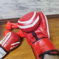 دستکش بوکس اورجینال Top boxing