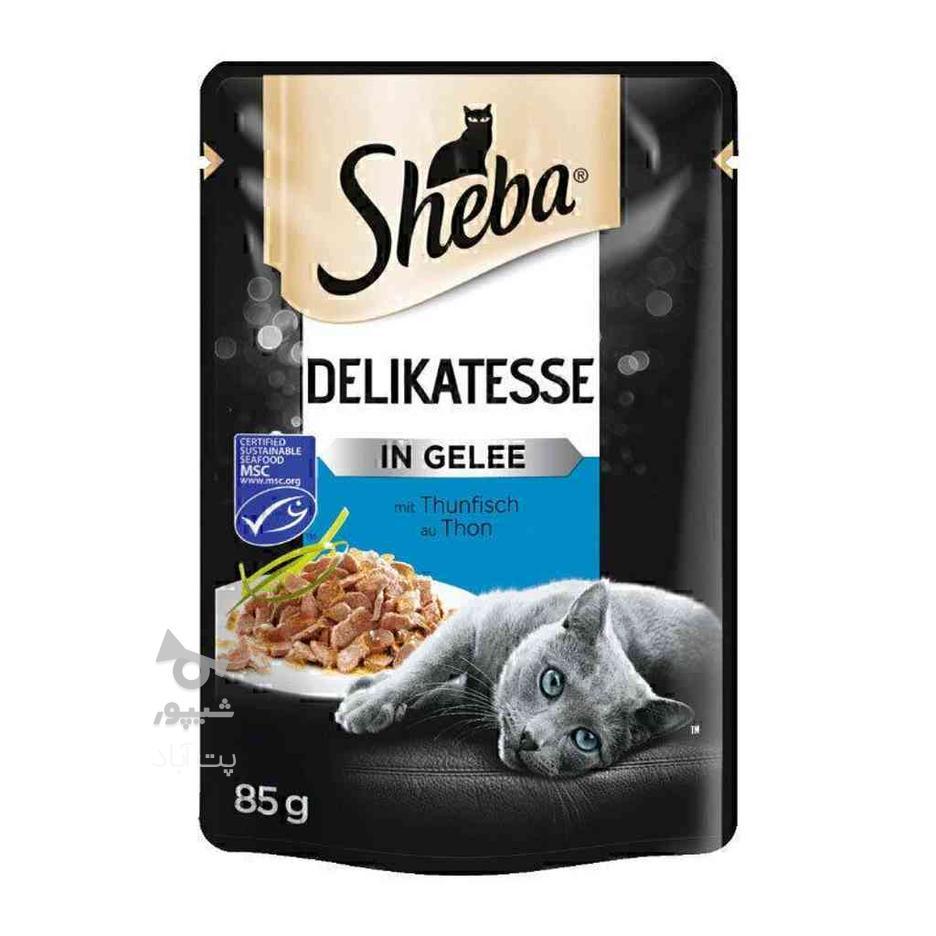 پوچ گربه با طعم ماهی تن در ژله شیبا Sheba Tuna In Jelly وزن در گروه خرید و فروش ورزش فرهنگ فراغت در تهران در شیپور-عکس1