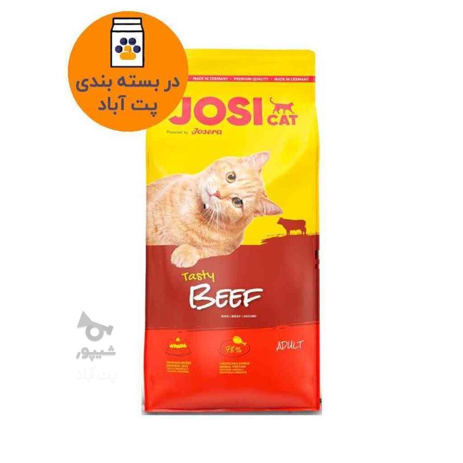 غذای خشک گربه جوسی کت جوسرا با طعم گوشت Josera Josicat Beef در گروه خرید و فروش ورزش فرهنگ فراغت در تهران در شیپور-عکس1