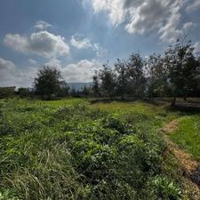 فروش و معاوضه زمین 3300 متر در لیالستان