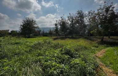 فروش و‌ معاوضه زمین 3300 متر در لیالستان