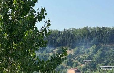 500 متر باغچه جنگلی دهکده سانخیل ساری